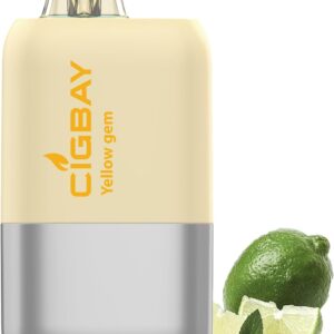 電子タバコ 使い捨て ベイプ 15,000回吸引可能 禁煙パイポ vape 水蒸気タバコ 持ち運び 爆煙 タールニコチンゼロ 禁煙グッズ LEDスクリーン付
💰1380円 → 850円