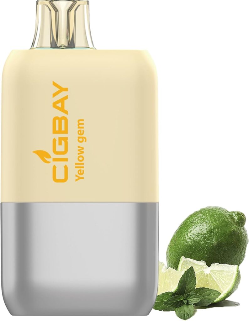 電子タバコ 使い捨て ベイプ 15,000回吸引可能 禁煙パイポ vape 水蒸気タバコ 持ち運び 爆煙 タールニコチンゼロ 禁煙グッズ LEDスクリーン付
💰1380円 → 850円